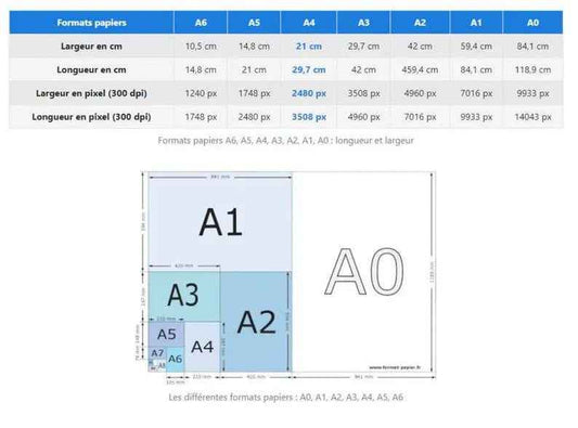 Cadeau de naissance, personnalisation couleur de peau et texte, Affiche A4 ou A3, famille deux mamans, Cadeau personnalisé, fêtes des mères